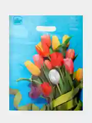 Аметистовый пакет новогодний,5 шт ,20*30