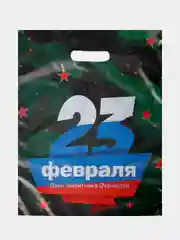 Зеленый пакет новогодний,5 шт ,20*30