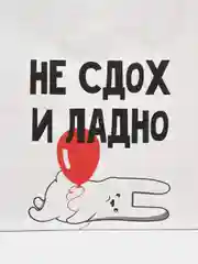 Красный пакет подарочный с надписью , 22х22х11 см, 23 вида