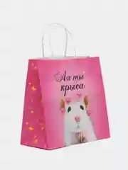 Вишнёвый пакет подарочный с надписью , 22х22х11 см, 23 вида