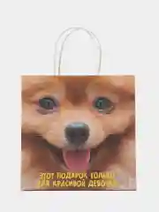 Золотой пакет подарочный с надписью , 22х22х11 см, 23 вида