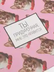 Алый пакет подарочный с надписью , 22х22х11 см, 23 вида