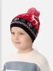 Алый шапка зимняя, детская, новогодняя