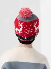 Алый шапка зимняя, детская, новогодняя