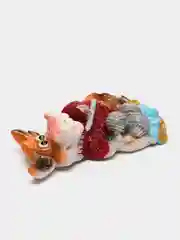 Розовый магниты на холодильник тигр новогодний