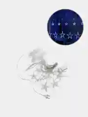 Аметистовый светодиодная интерьерная гирлянда занавес Led   Звезды  3х1 метр