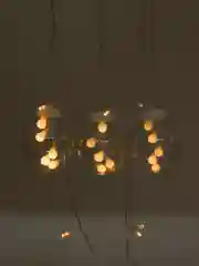 Золотой гирлянда шторка, 6 видов