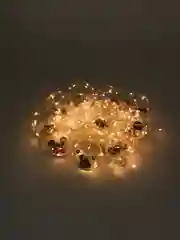 Белый гирлянда шторка, 6 видов