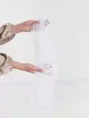Белый фата Escho