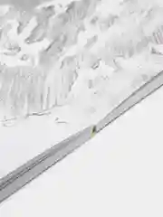 Вы научитесь рисовать к концу этой книги
