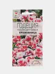 Семена цветов Годеция "Кружевница", биколор, 0,1 г, Цветущий сад