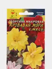 Семена Георгина махровая "Кровавая Мэри", смесь, 0,2 г, Цветущий сад