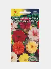 Семена цветов Георгина махровая "Бордюрная смесь", 0,2 г, Цветущий сад