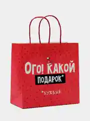 Коралловый пакет подарочный Новый год, 22 х 22 х 11 см, 17 видов