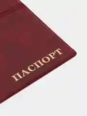 Бордовый обложка на паспорт