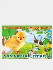 Алый книга детская о животных
