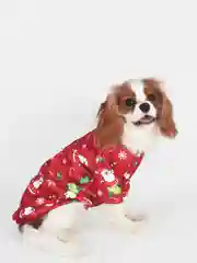 Бордовый новогодний костюм Деда Мороза для собак и кошек, свитер для животных