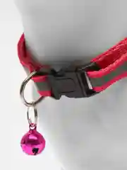 Фуксия ошейник светоотражающий для кошек и собак мелких пород с колокольчиком