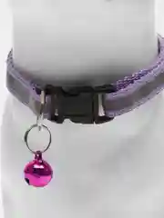 Лавандовый ошейник светоотражающий для кошек и собак мелких пород с колокольчиком