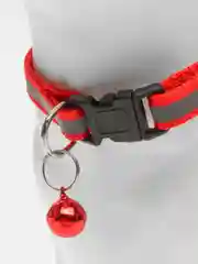 Красный ошейник светоотражающий для кошек и собак мелких пород с колокольчиком