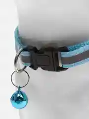 Голубой ошейник светоотражающий для кошек и собак мелких пород с колокольчиком