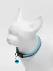 Голубой ошейник светоотражающий для кошек и собак мелких пород с колокольчиком