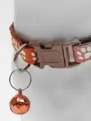 Коричневый ошейник для кошек и собак мелких пород с лапками и колокольчиком
