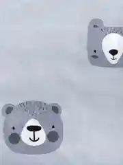 Постельное белье "Этель" 1,5 сп Gray bear 143х215 см, 150х214 см, 50х70 см -1 шт