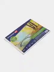 Холст на картоне BRAUBERG ART CLASSIC, 18 х 24 см