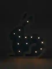 Ледяной ночник