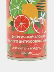 Освежитель воздуха спрей Sunny Day, 300 мл