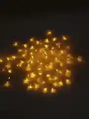 Золотой гирлянда-штора светодиодная "Звезды"
