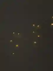 Гирлянда, новогодние украшения, гирлянда роса, гирлянда на батарейках, 10 метров, желтая