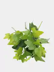 Искусственные цветы. Куст зелени. Искусственные растения для декора