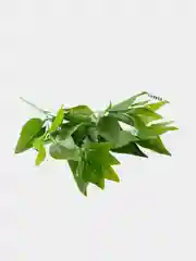 Тёмно-зелёный искусственные цветы. Куст зелени. Искусственные растения для декора