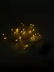 Желтый гирлянда-нить светодиодная, на батарейках, 3 м