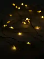 Желтый гирлянда-нить светодиодная, на батарейках, 3 м
