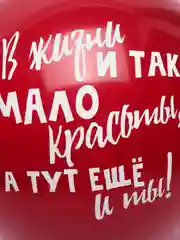 Фуксия воздушные шары "Оскорбительные шарики"