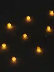 Гирлянда светодиодная в виде лампочек, 3 метра