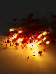 Коралловый гирлянда новогодняя светодиодная Бисер, LED, на батарейках