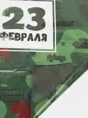 Зеленый пакет подарочный "23 февраля", полиэтиленовый с вырубной ручкой, 20 х 30 см, 30 мк