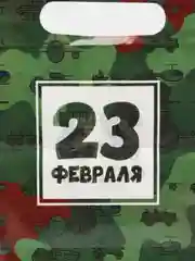 Зеленый пакет подарочный "23 февраля", полиэтиленовый с вырубной ручкой, 20 х 30 см, 30 мк