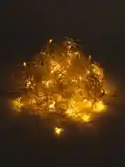 Новогодняя гирлянда-штора, теплый свет, 3 х 3 метра, удлинитель в комплекте