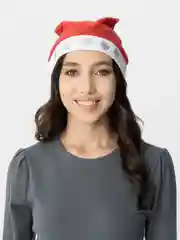 Колпак новогодний, 27*27 см