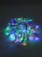 Гирлянда занавес 3 х 3 м , мультиколор, 8 режимов свечения, 320 LED 3/3