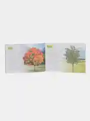 Обучающие книги "Про всё на свете" (Окружающий мир)