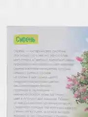Обучающие книги "Про всё на свете" (Окружающий мир)