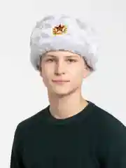 Серый шапки Ушанки/ Будёновка/ Солдатская/ Ушанка (Разные цвета) с кокардой, СССР, РФ