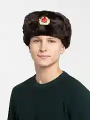 Тёмно-коричневый шапки Ушанки/ Будёновка/ Солдатская/ Ушанка (Разные цвета) с кокардой, СССР, РФ