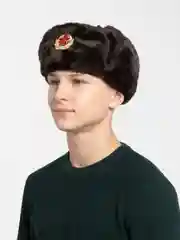 Тёмно-коричневый шапки Ушанки/ Будёновка/ Солдатская/ Ушанка (Разные цвета) с кокардой, СССР, РФ
